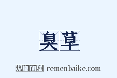 臭草是什么意思的图片
